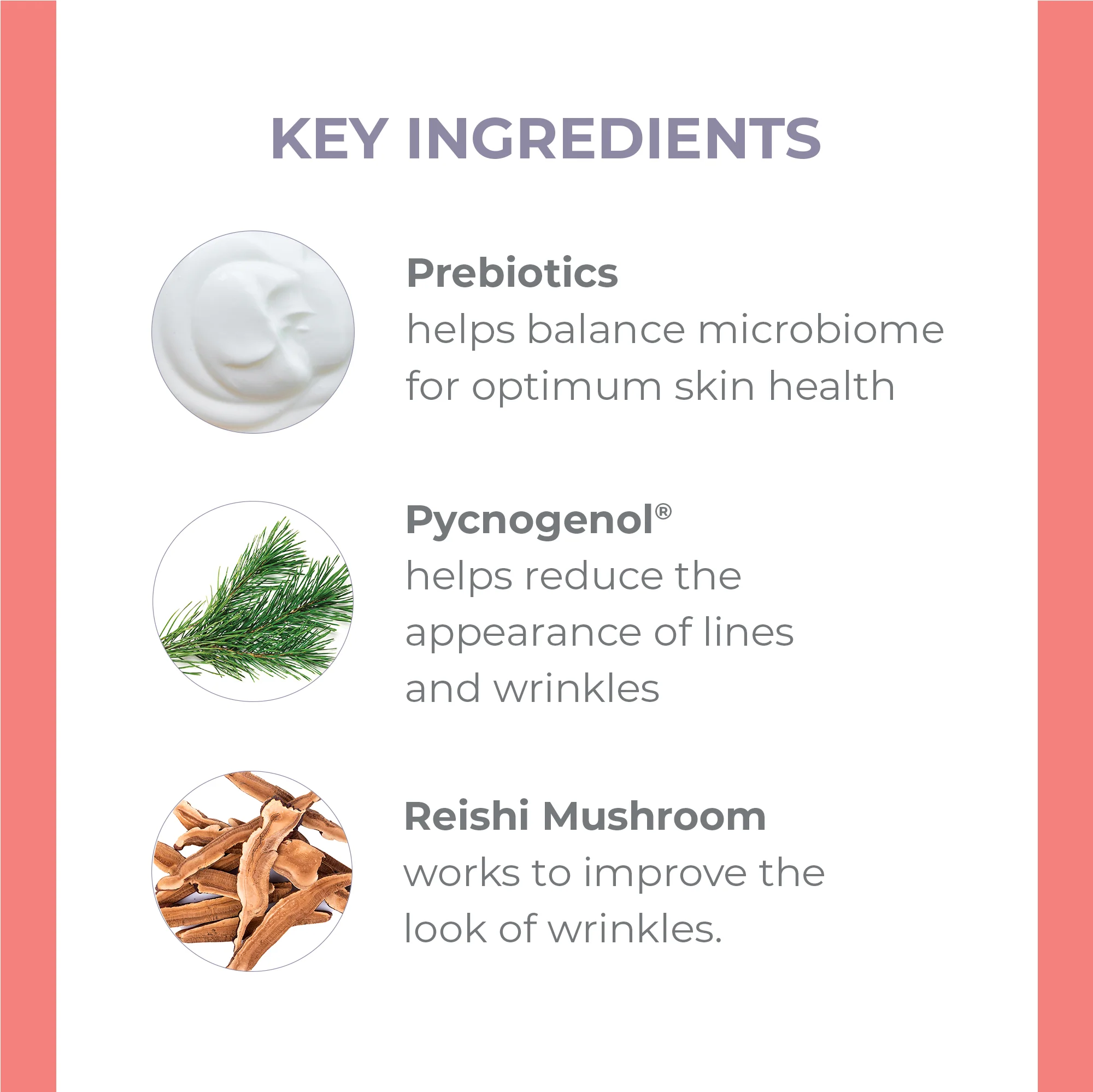 Pure Biome Balancing Cream - Image 4
